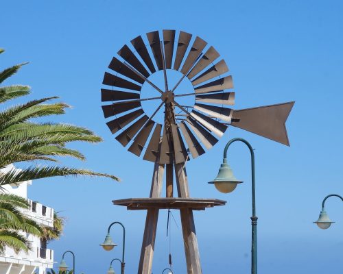 canaries-1481238_1920